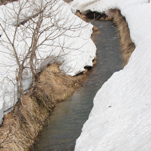 山古志本舗清らかな雪解け湧き水