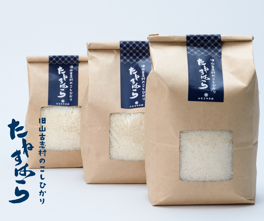 山古志本舗たねすはら米